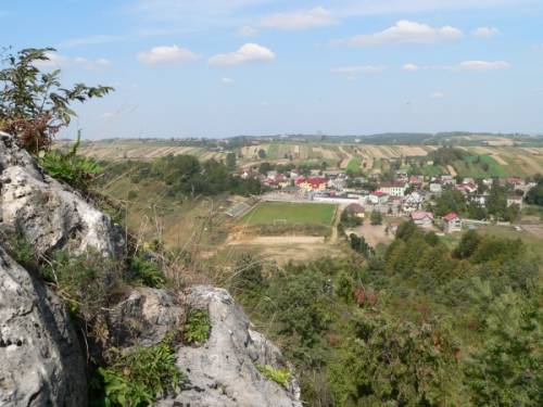 Panorama Niegowy - widok z Góry Bukowiec